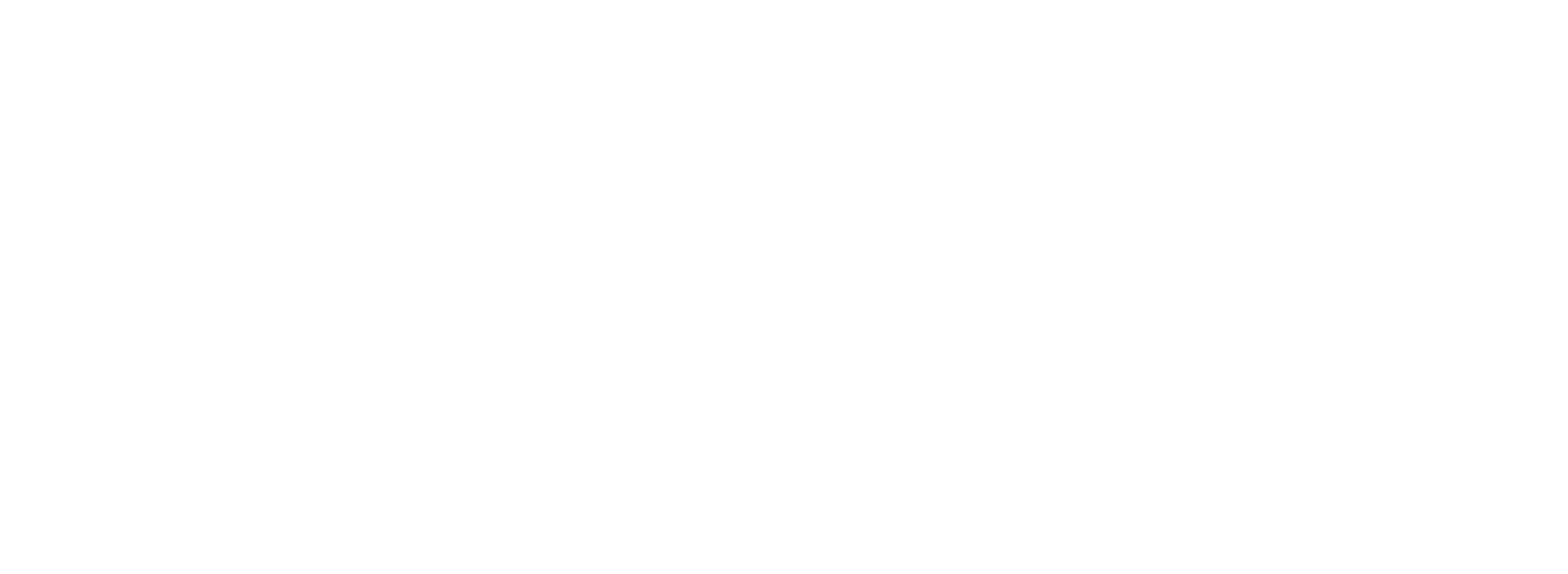 Hollow Knight